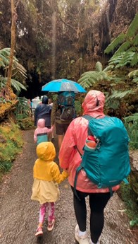 The group walking the lush path to the Nāhuku Lava Tube in Volcanoes National Park.